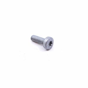 Tornillo Torx para código: N10196103